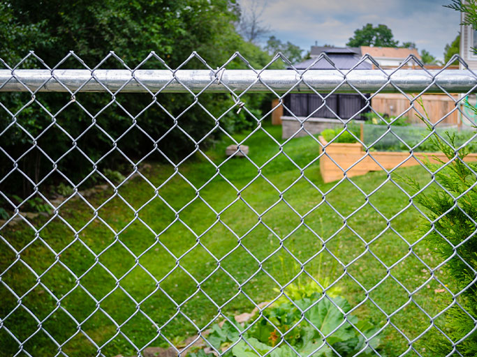 Chain-link fence overlooking a suburban backyard with green lawn, raised garden beds and trees.