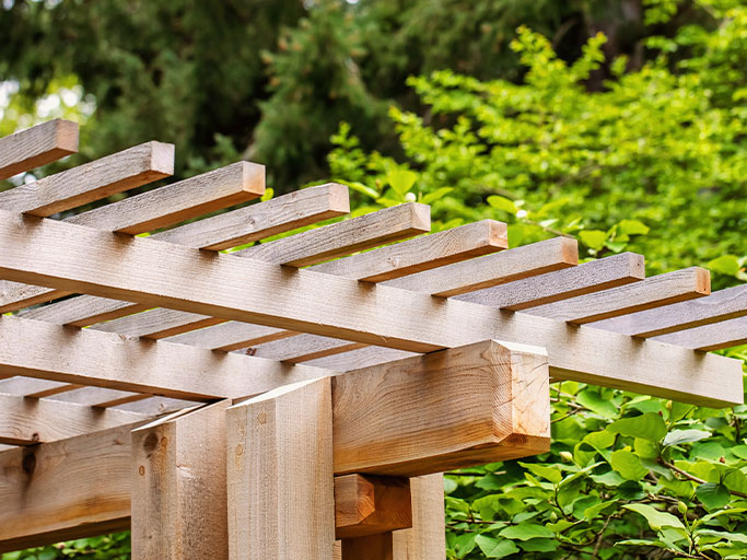 Wooden pergola trellis with horizontal beams over lush green garden and climbing vines