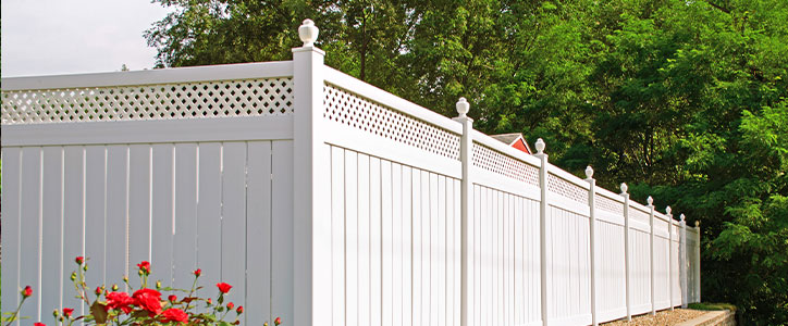 Long white vinyl privacy fence with lattice top along a backyard bordered by red roses and green trees.
