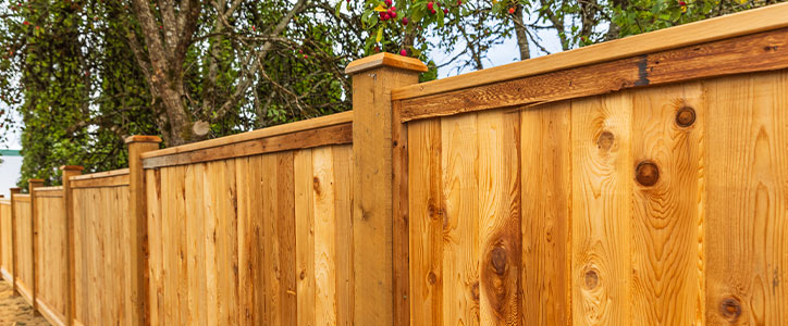 Close-up of new wooden privacy fence panels and posts bordering a backyard with trees