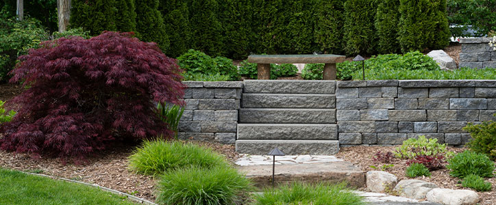 Stone steps and bench in a landscaped garden with a Japanese maple, ornamental grasses and evergreen hedge.